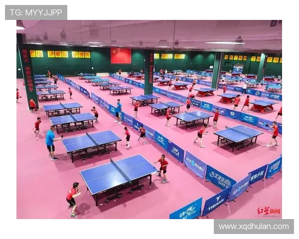 成都乒乓球队耐力对比深度分析与训练策略探讨