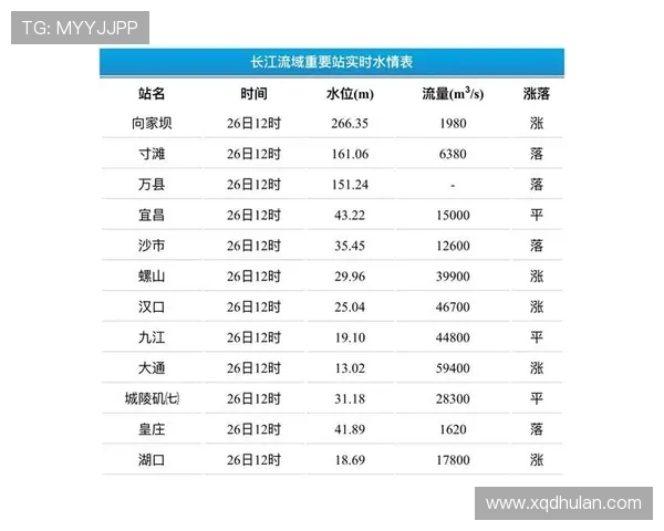 数据分析：武汉乒乓球队的灵活性表现