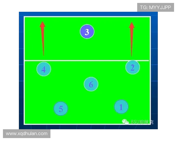 武汉排球队的整体压制策略与技战术深度解析